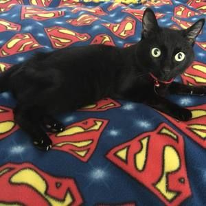 Meet your Posher, Heather